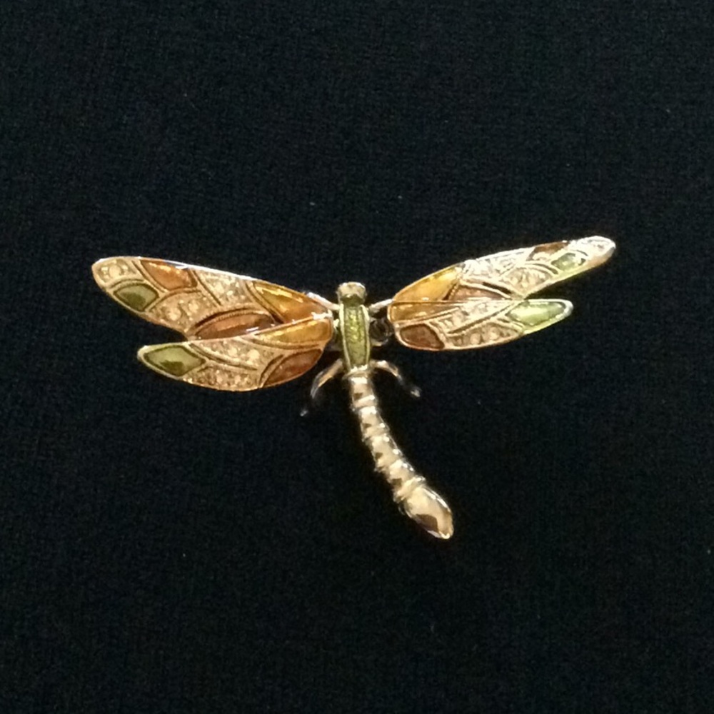 Dragonfly Brooche